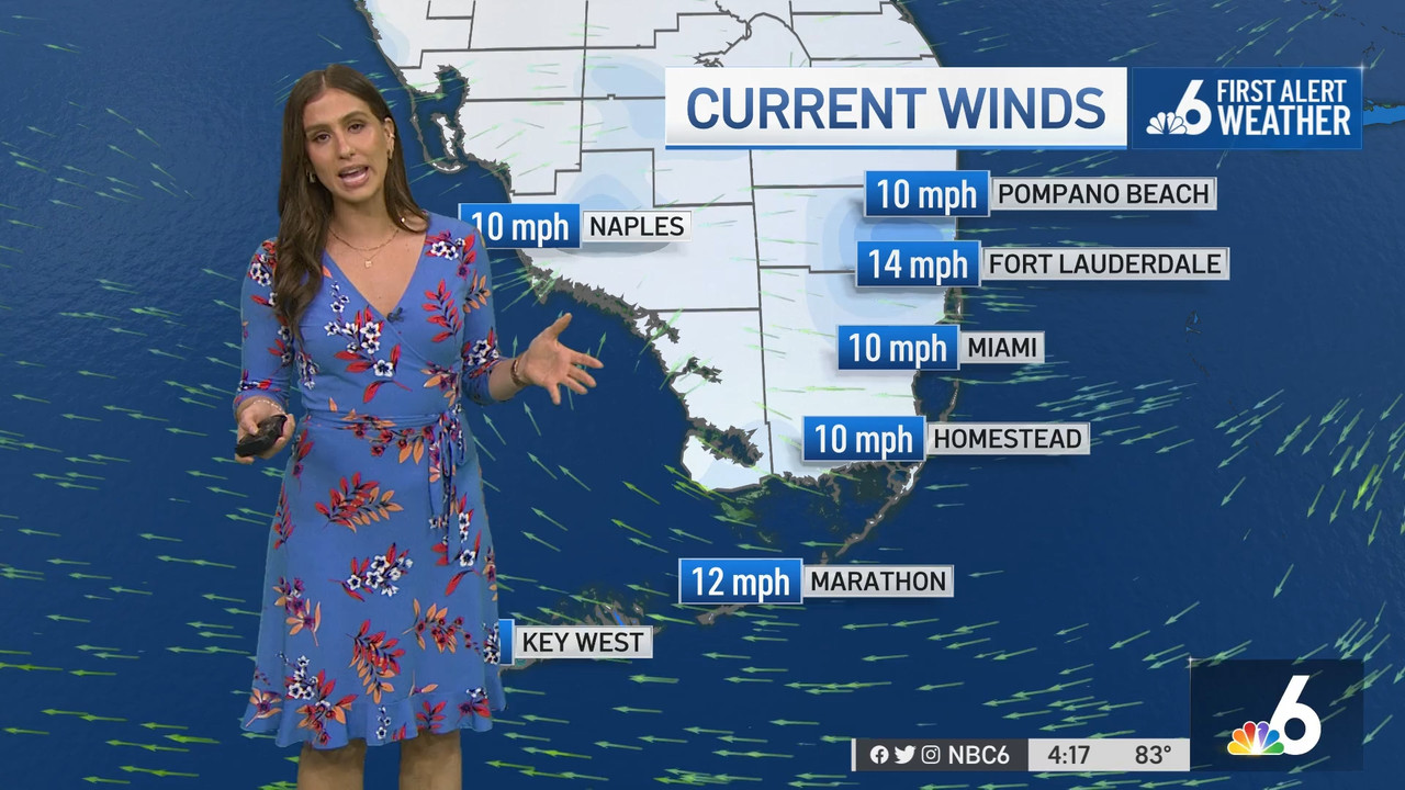 03.29 - 21.00.00 - NBC 6 News at 4 00 p.m..ts_snapshot_00.18.34.576