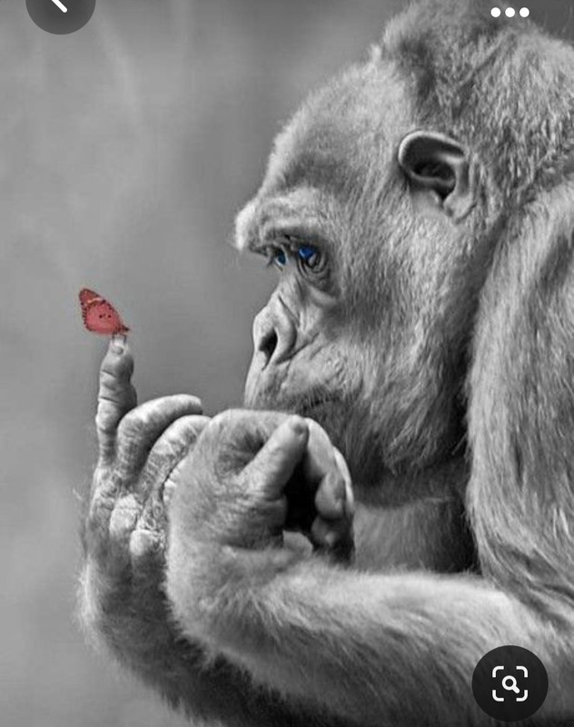 Screenshot_20231030_205242_Pinterest