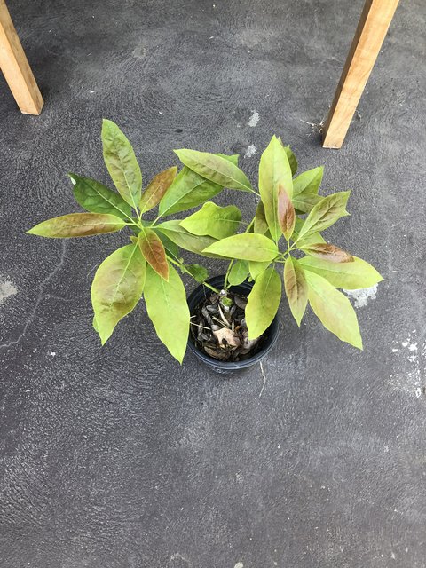 2F93D265-E21A-40C5-8B3E-ECE143C1C469