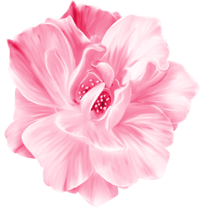 BIBI-PINK ANGEL ELEMS (99)