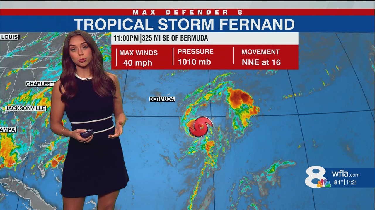NewsChannel 8 at 11p Saturday_20250824_04000429.ts_snapshot_22.56.840