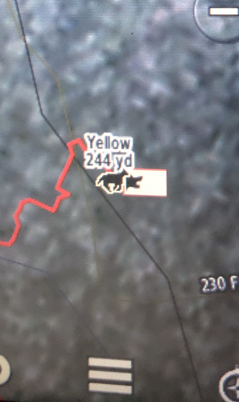 F2B7A38C-C800-404B-8C81-22389EBCA76D