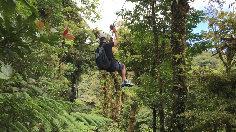 DIA 11: TIROLINAS EN MONTEVERDE Y TOUR NOCTURNO POR LA SELVA - DE TORTUGAS Y PEREZOSOS. COSTA RICA 2019 (10)