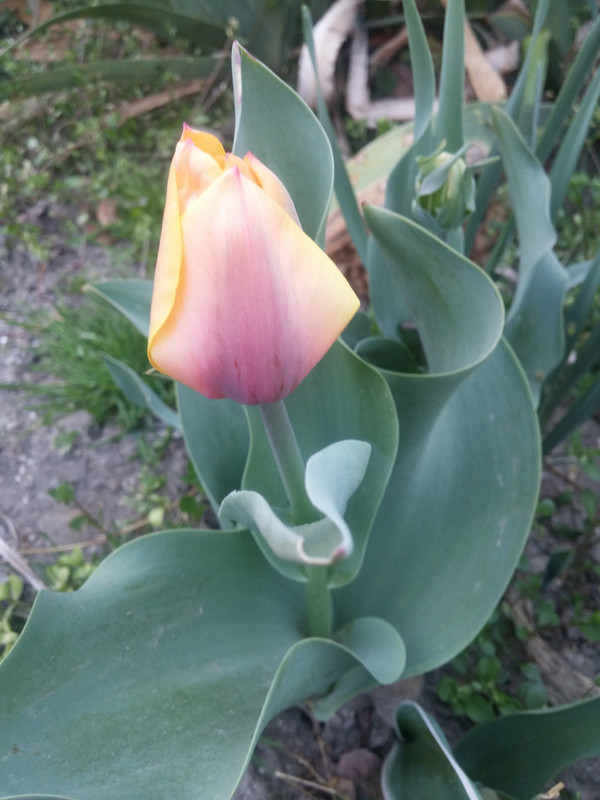 20190324_180926