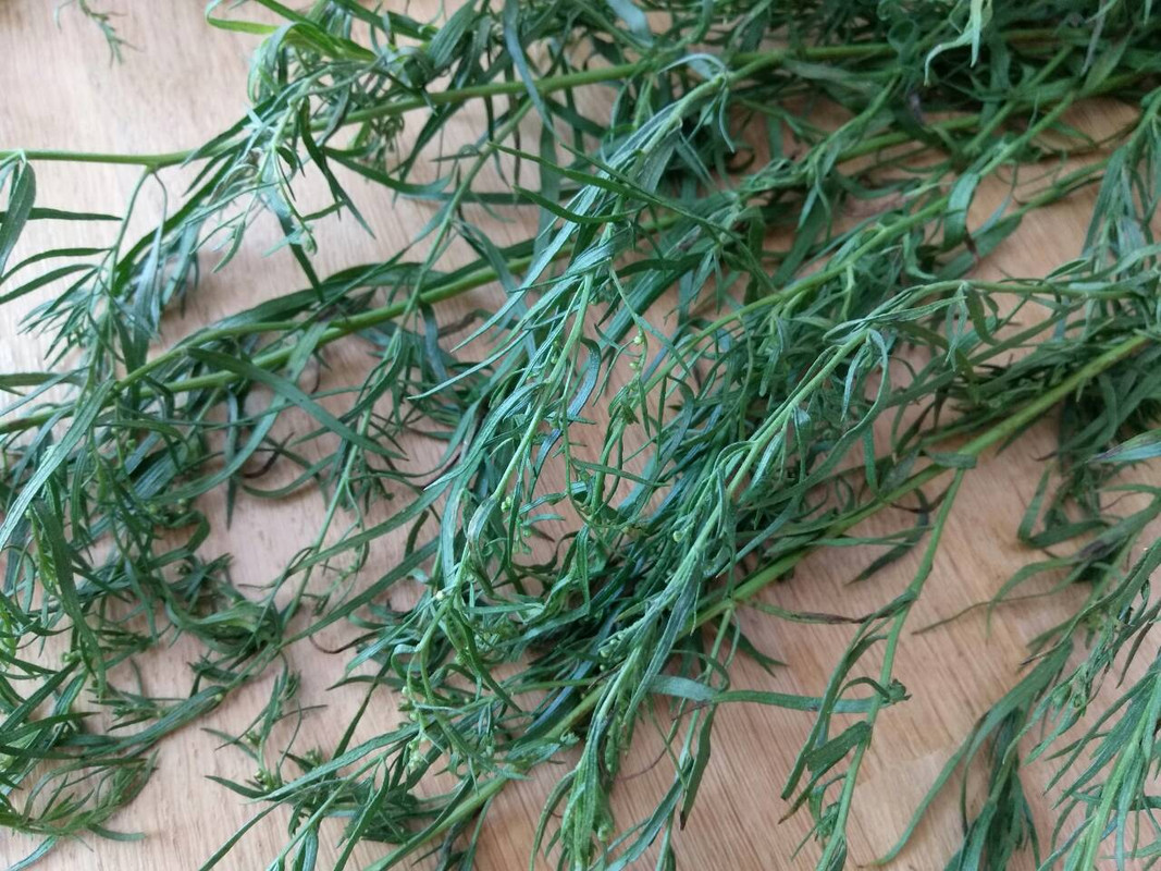 0-02-05-aaeca1433e2a487dc17d3f3b6ba0fc21caada9c2bdc9b174a75de389