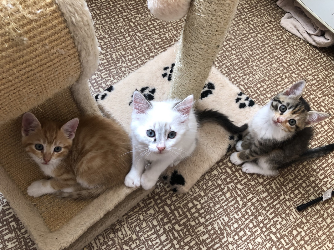 207EEE63-56BC-4407-8184-8319972566EB