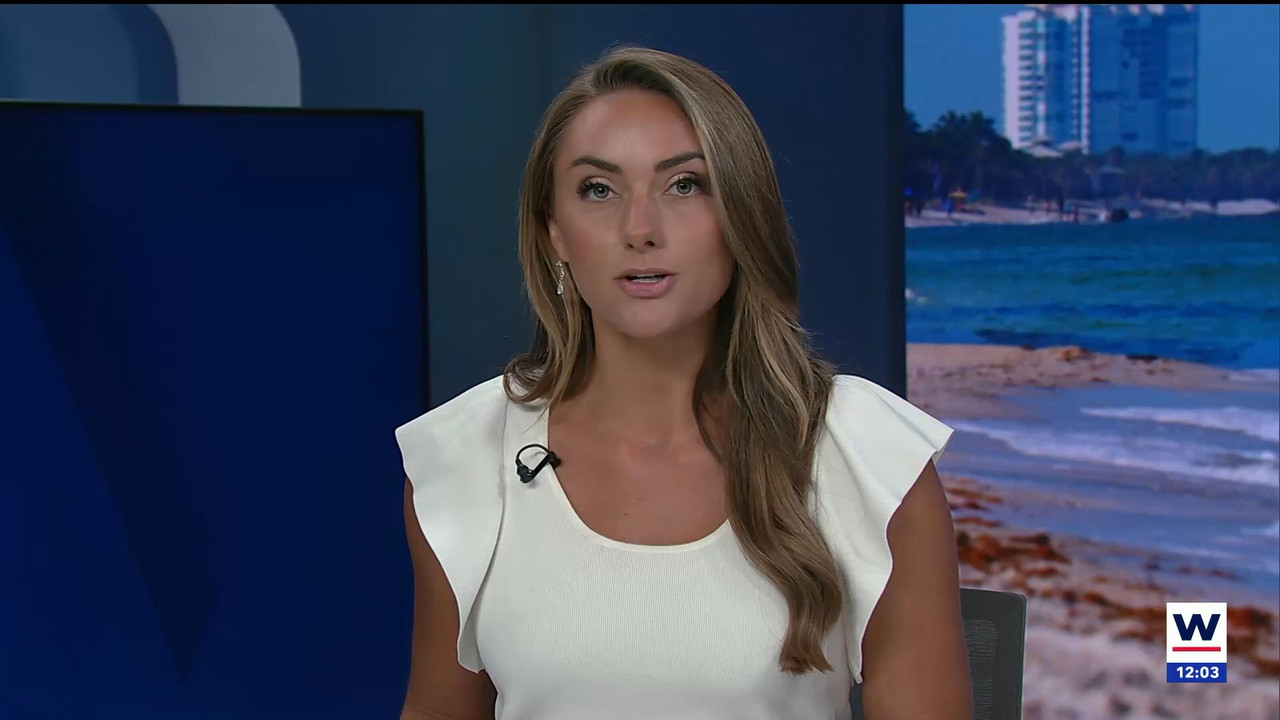 04.17 - 17.00.01 - The WINK Noon News  ᴺᵉʷ. Midday news update..ts_snapshot_09.14.216