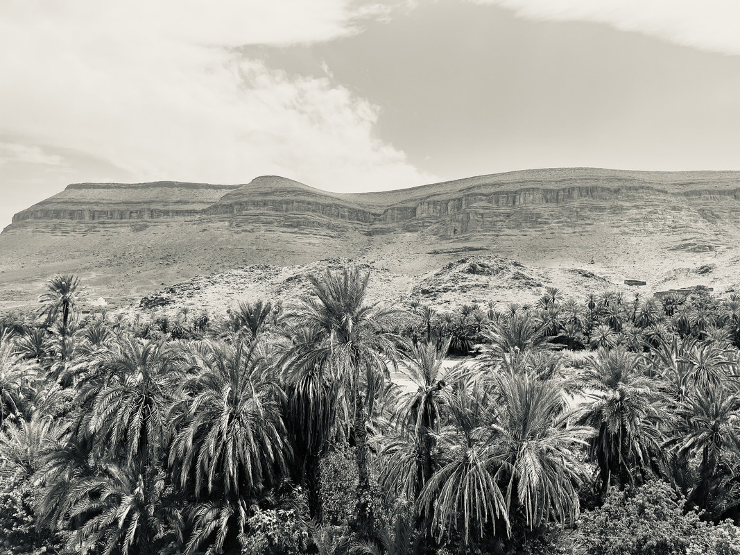 Los Oasis de Fint y de Tiguirt - El Valle del Drâa, la gran arteria del sur de Marruecos (1)