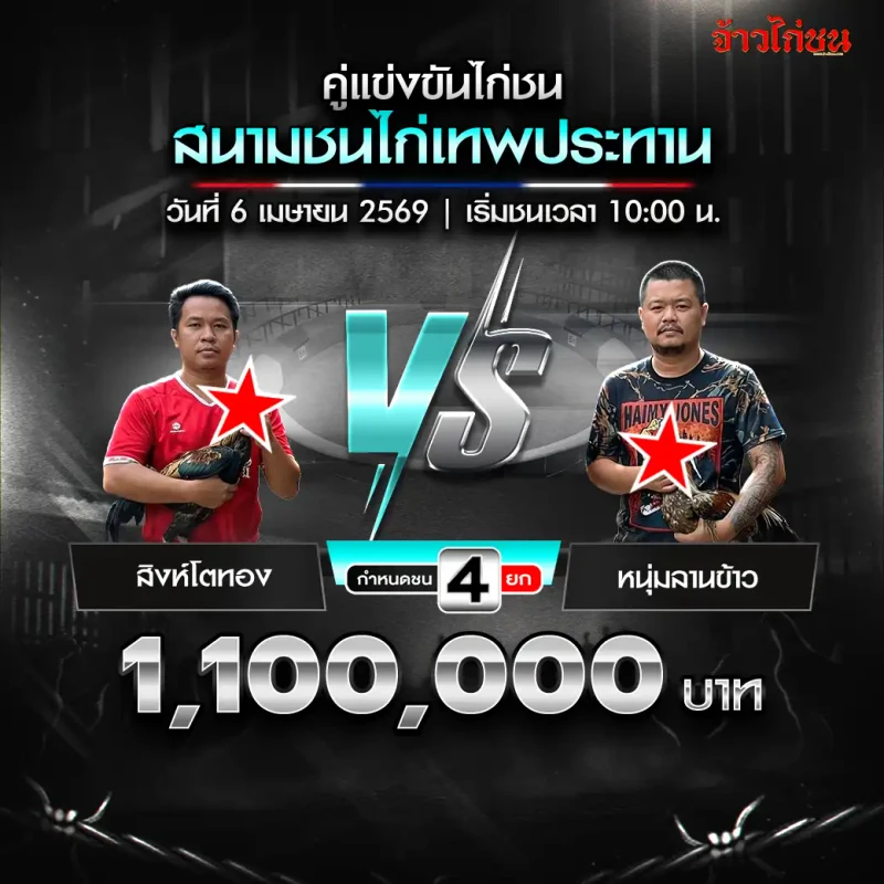 สิงห์โตทอง vs หนุ่มลานข้าว โปรแกรมไก่ชน สนามชนไก่เทพประทาน วันที่ 6 เมษายน 2569