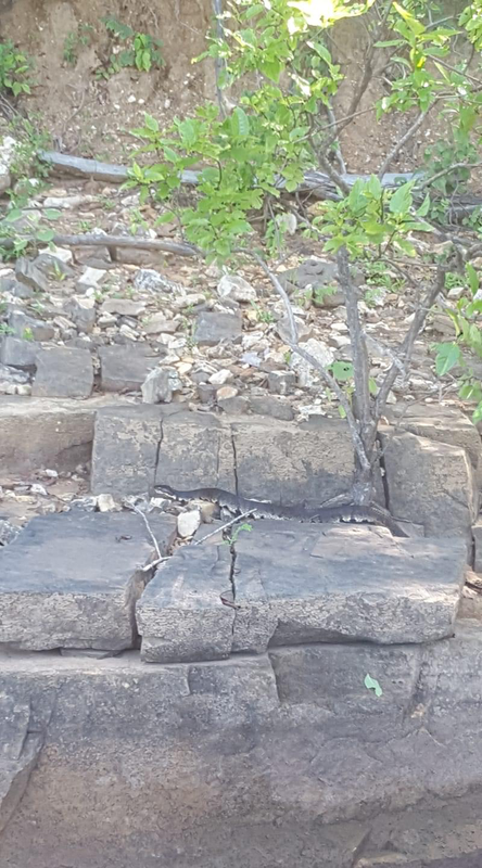 69ECD026-E274-4E17-87DB-4652E62FD874