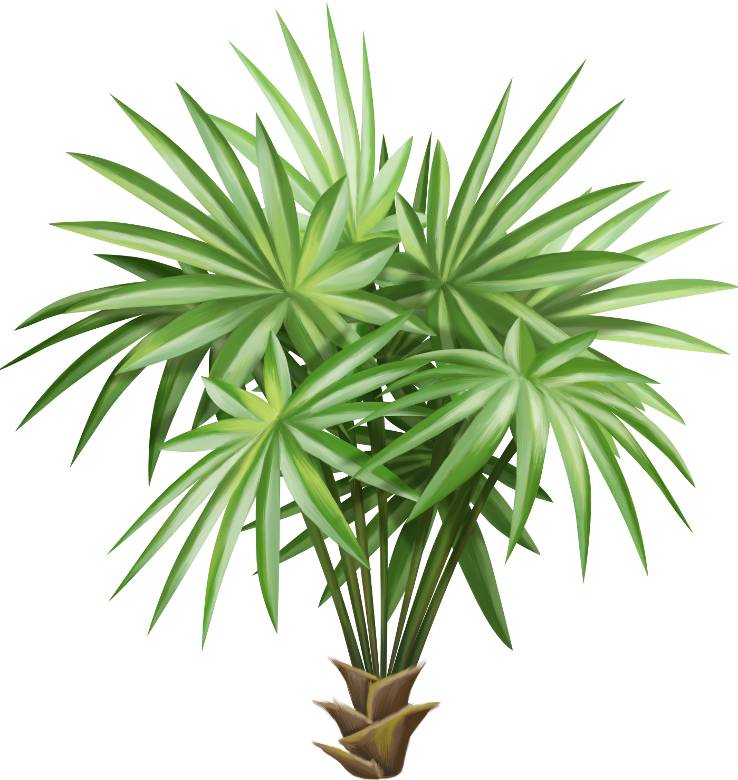 Into The Jungle (117)