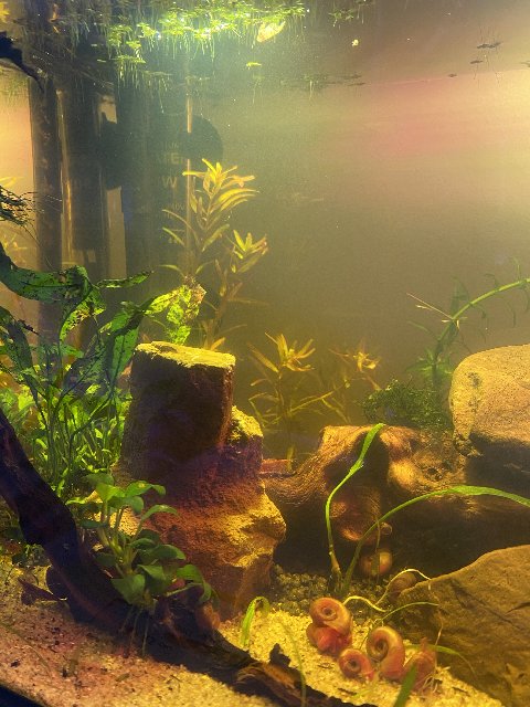 9FEF07C1-1966-463A-9855-065924F01842