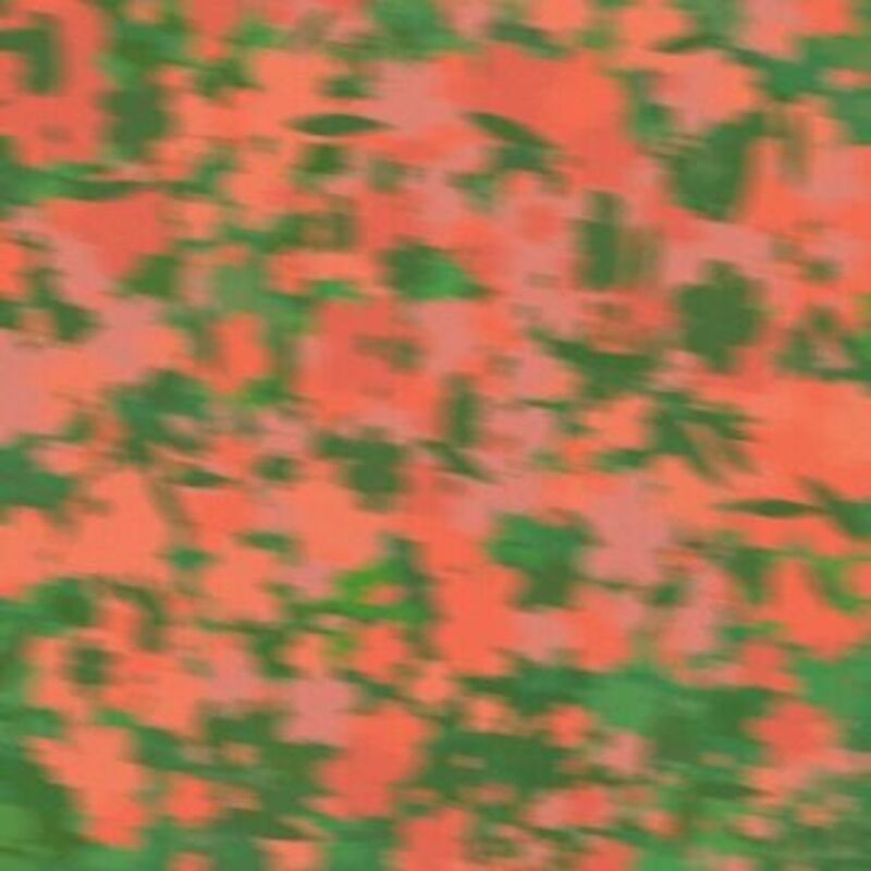 서성이는 마음들 - 109 ALBUM COVER