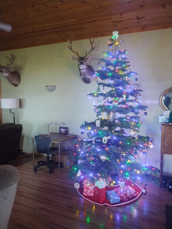 IMG_20241223_094105322_HDR