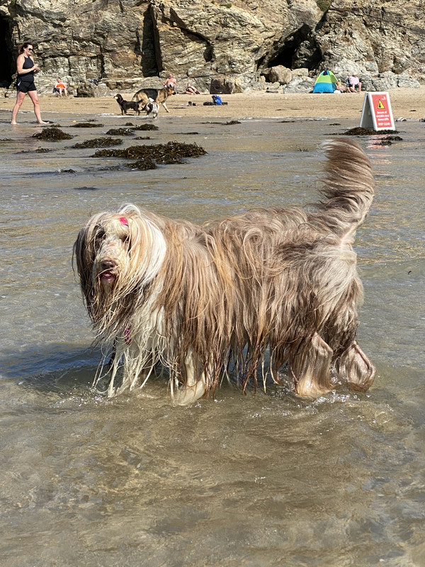 F1CE24DE-747F-4523-A5E3-92597F6AD42F