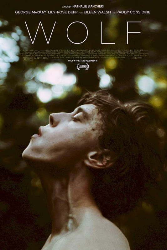 Wilk / Wolf (2021) PL.480p.WEB-DL.XviD.DD5.1-K83 / Lektor PL 