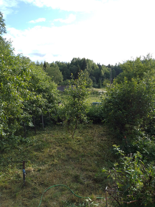 солце поле 1 марс