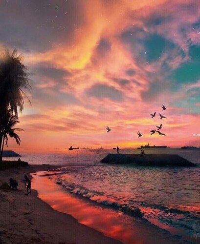 Good-Evening-Beach-Birds