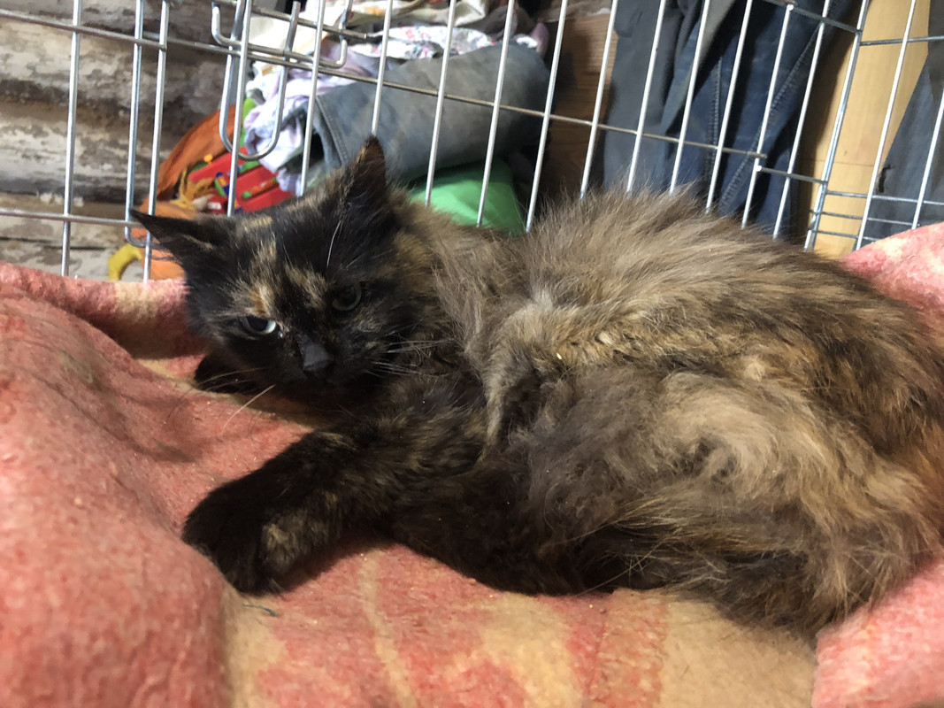 6BECFE87-B3AB-4172-8062-C25ADAE8C56A