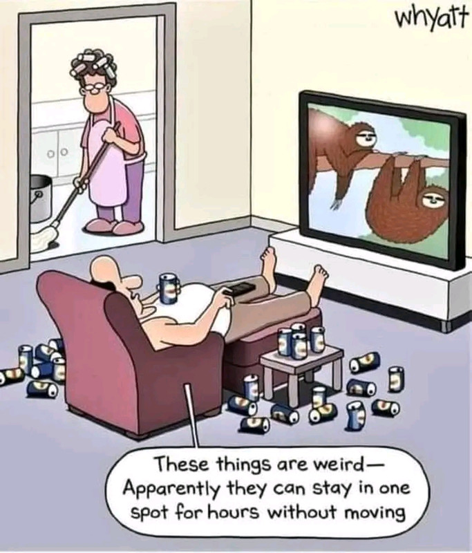 1679450336406.jpg