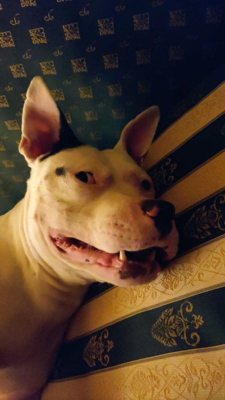 4D577C71-9707-4551-8D96-847A9111C98A