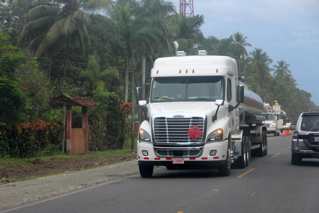 INTRODUCCIÓN - DE TORTUGAS Y PEREZOSOS. COSTA RICA 2019 (12)