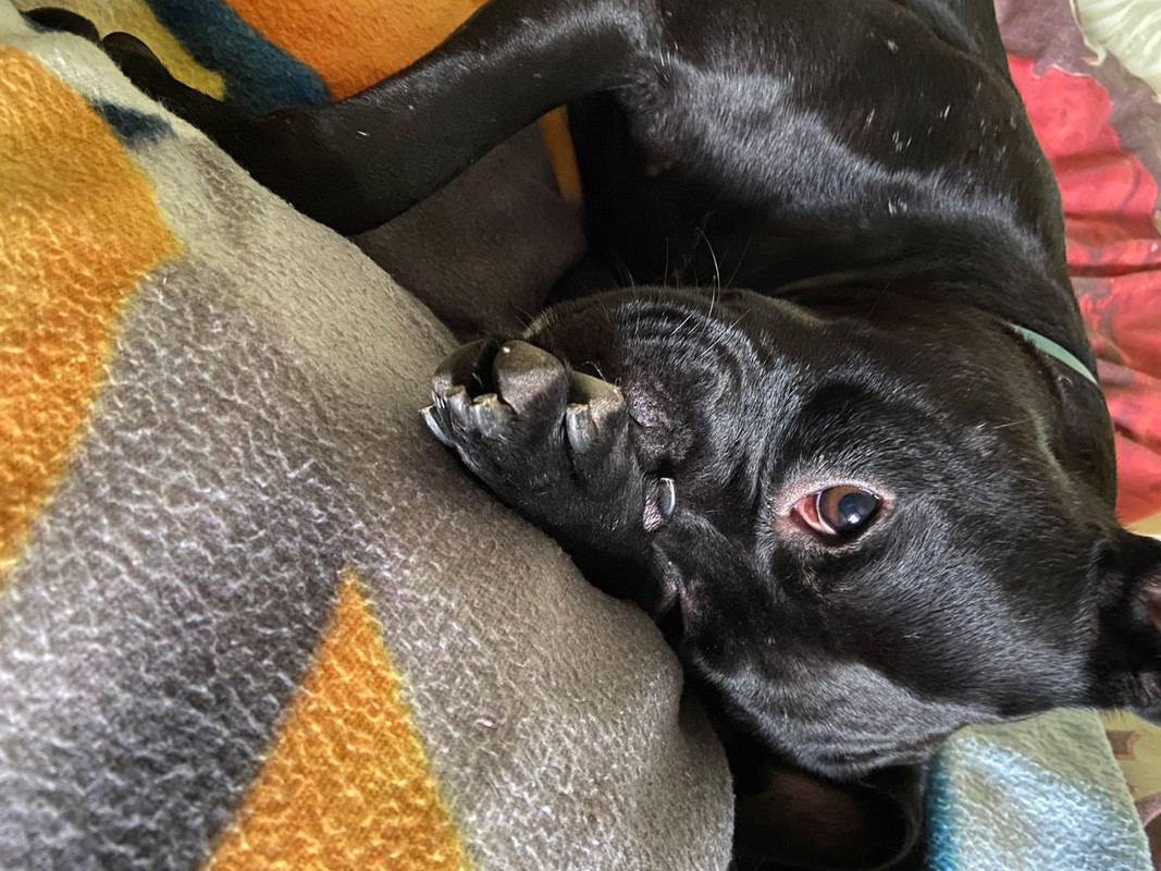 2EDAEE82-1875-4C63-8240-6EAB69B1E46C