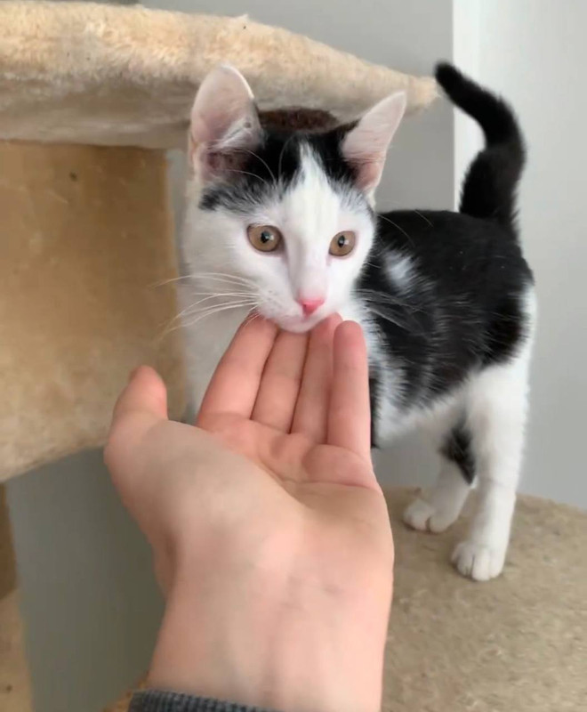 2A8A636D-C35F-4D2F-8D27-109720070DD5