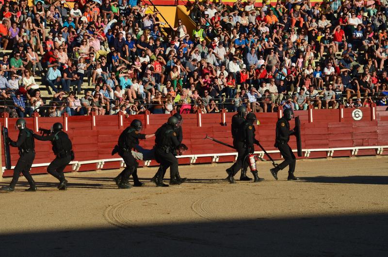 Exhibición Guardia Civil-30-9-2016 - Toledo y sus pueblos-1996/2026 (54)