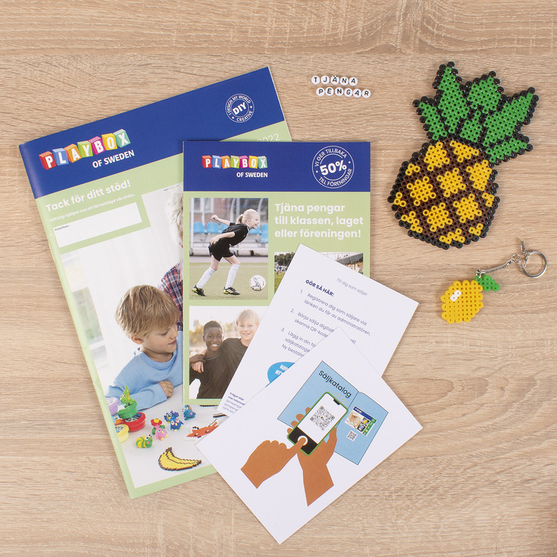 DSC_0279 Bild till tjäna pengar sidan