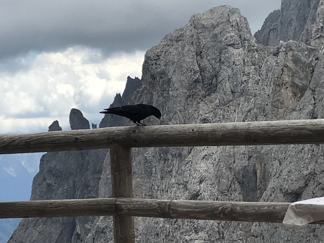 83BAC39C-33C7-4F55-8D64-D081174D011F