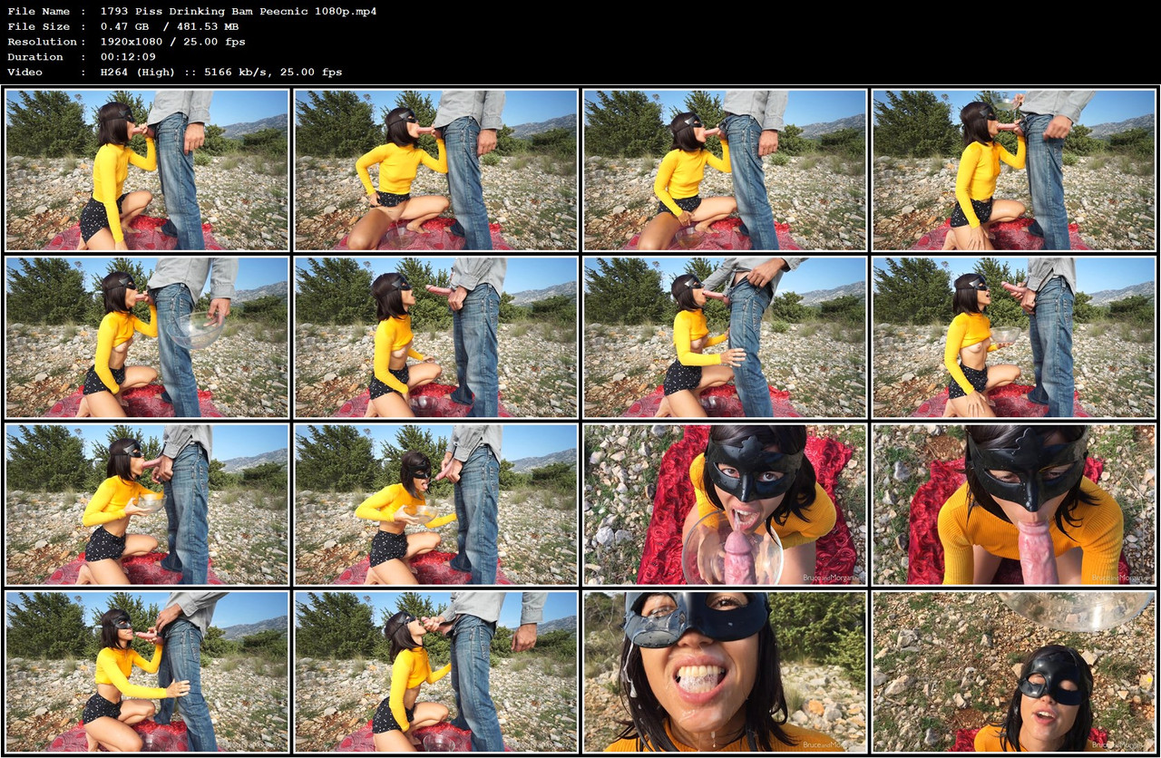 1793 Piss Drinking Bam Peecnic 1080p mp4