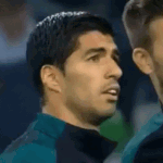 STK-20240218-WA0000.gif