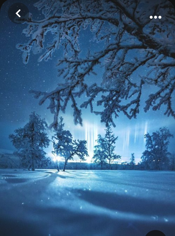 Screenshot_20231024_232521_Pinterest