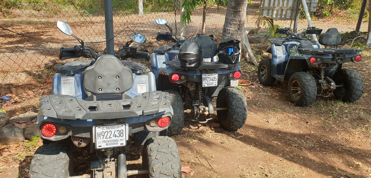 quads1