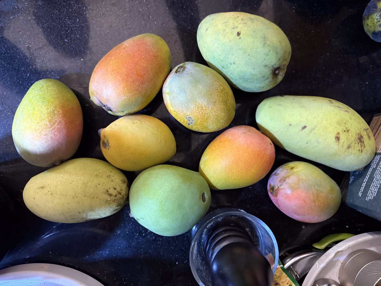 Mangoes Glenn OS CC Ed 52026
