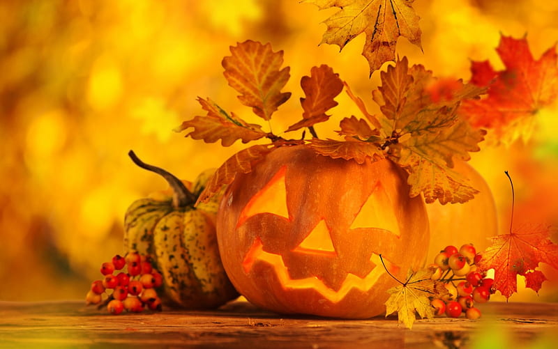 [Image: HD-wallpaper-autumn-pumpkin-autumn-hallo...kin-ca.jpg]