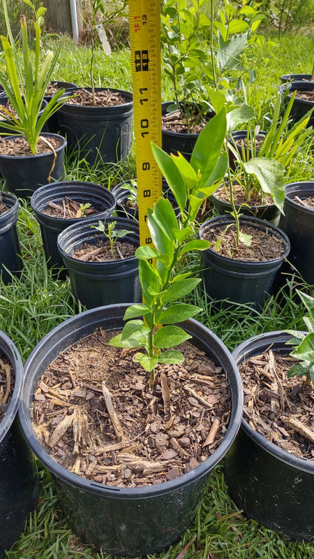 photo_2025-07-23_09-30-09 (2)