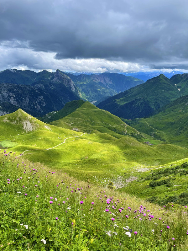 2FE49322-1648-4E6B-A32A-FA4DA08DEC72