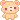 brown bear