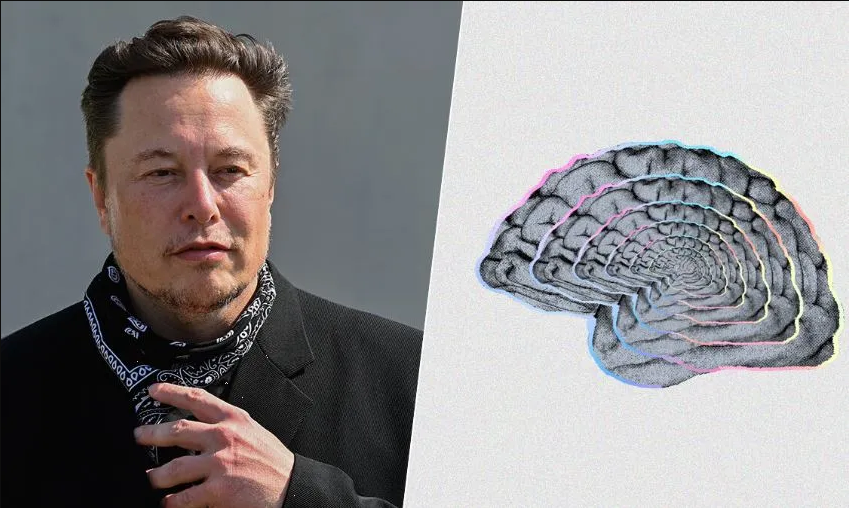 Elon Musk: rechazan probar los implantes cerebrales de Neuralink en humanos