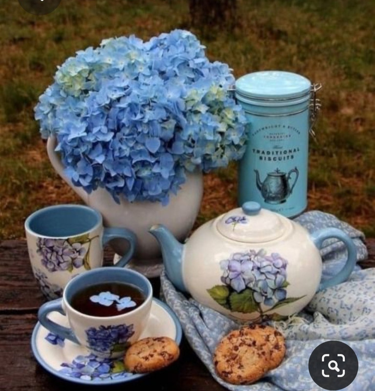 Screenshot_20230615_230650_Pinterest