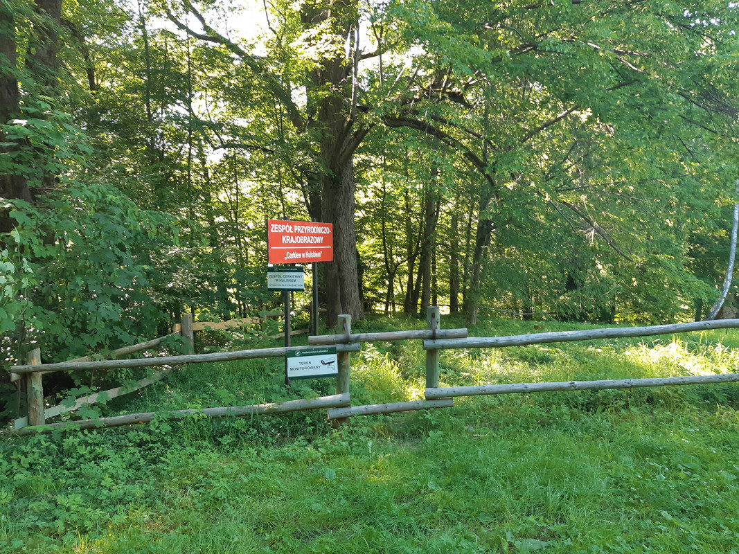 07.02 - 20220618_160636 (PiTT)