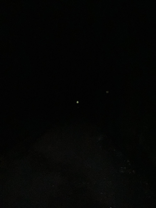 9E62E2BA-0314-4C9A-B8CF-85911DEF98AF