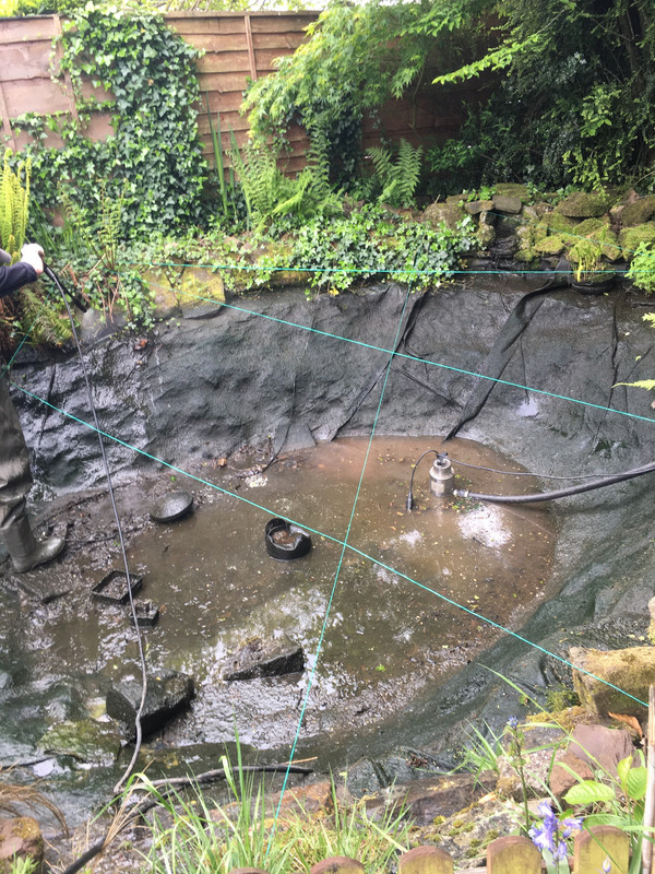 654F497A-A237-4EE2-9839-921C6F778D65