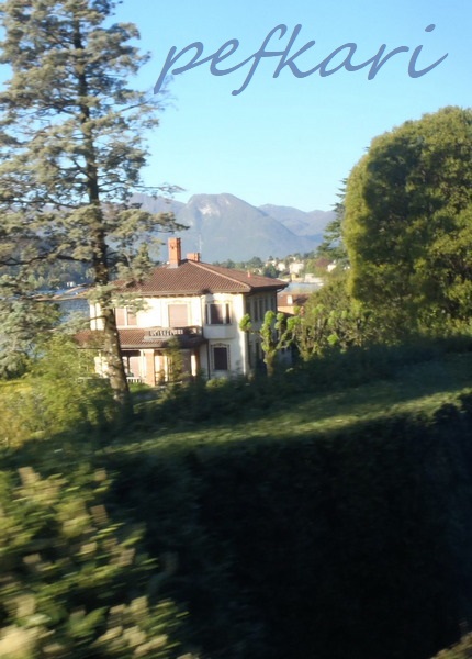 Slika