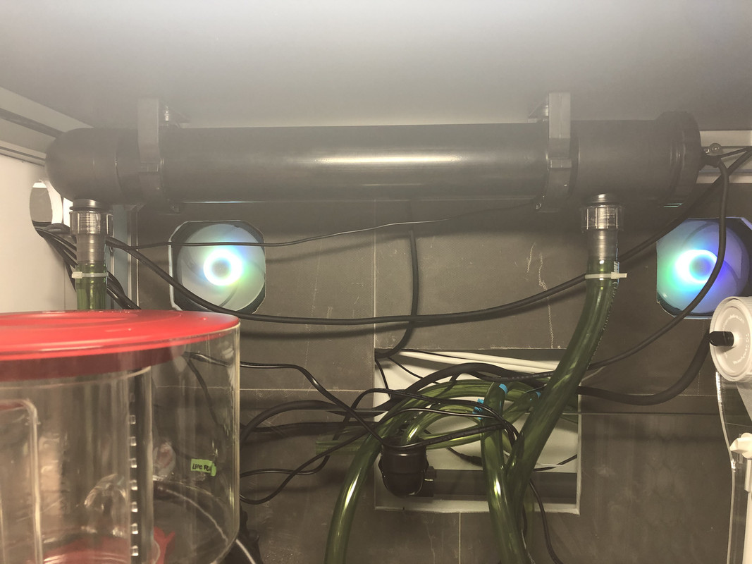 86EA86E4-37A8-4C1E-986D-1EDEC726390D