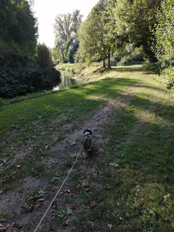 IMG-20250928-160141