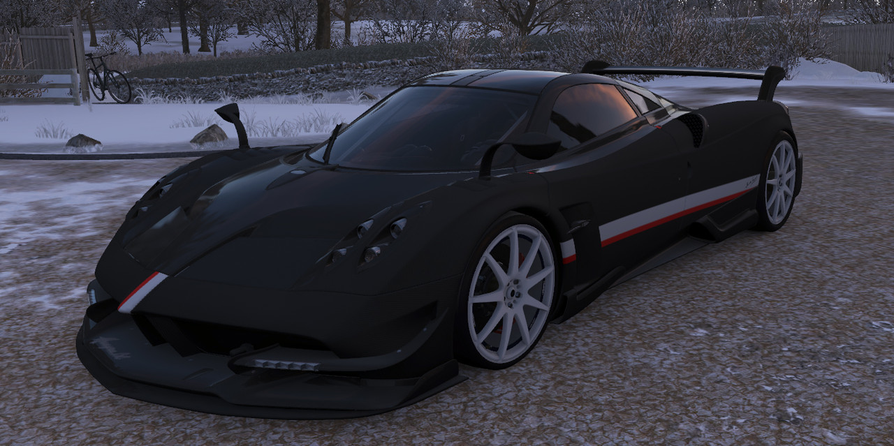 pagani2