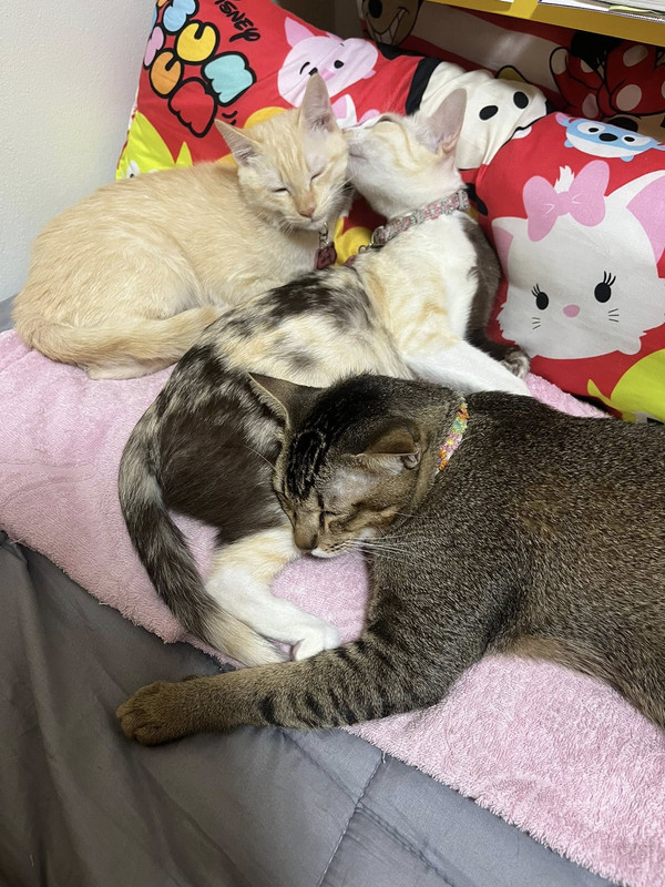 514281471-1890420931538392-573893549215614903-n